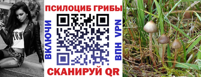 что такое ссылка на мегу как зайти Галлюциногенные грибы MAGIC MUSHROOMS Бийск